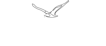 Hotel Seemöwe