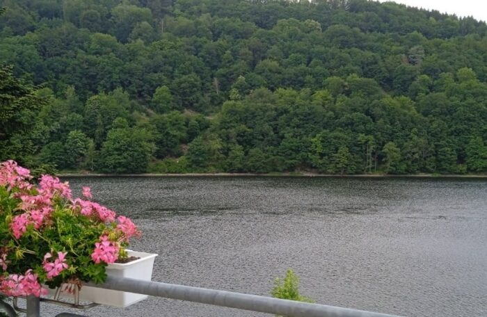 Foto vom Eifelsee vom Hotel Seemöwe