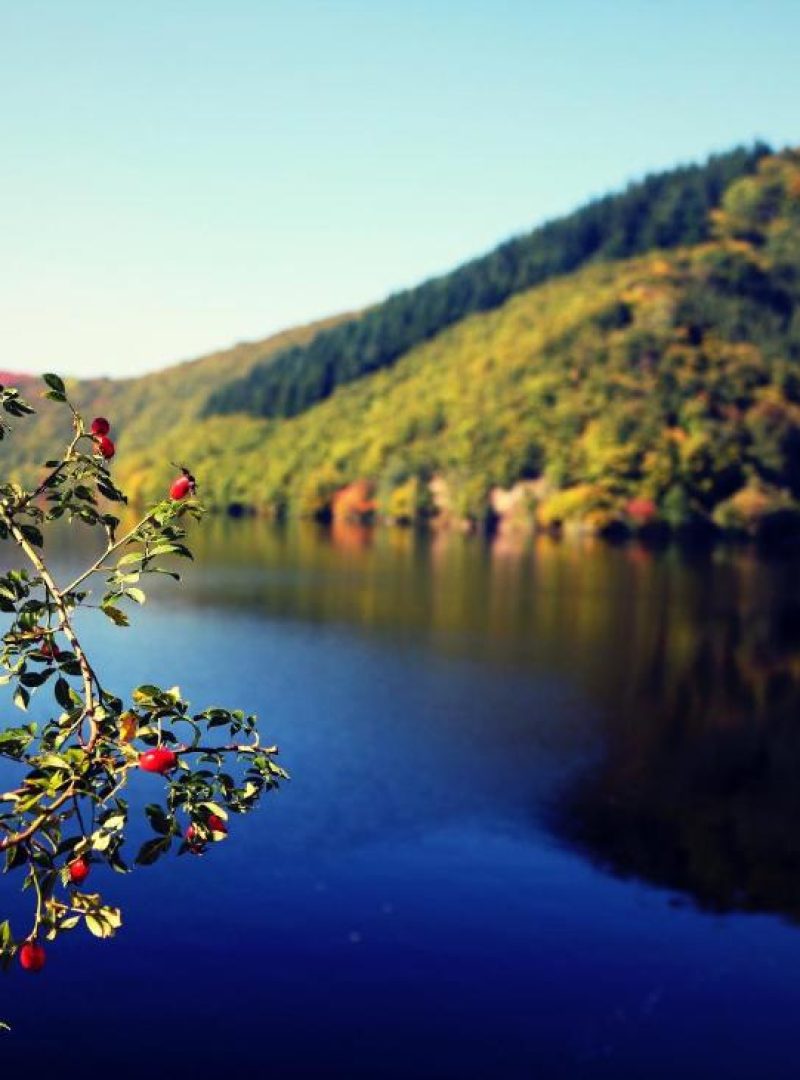 Rursee